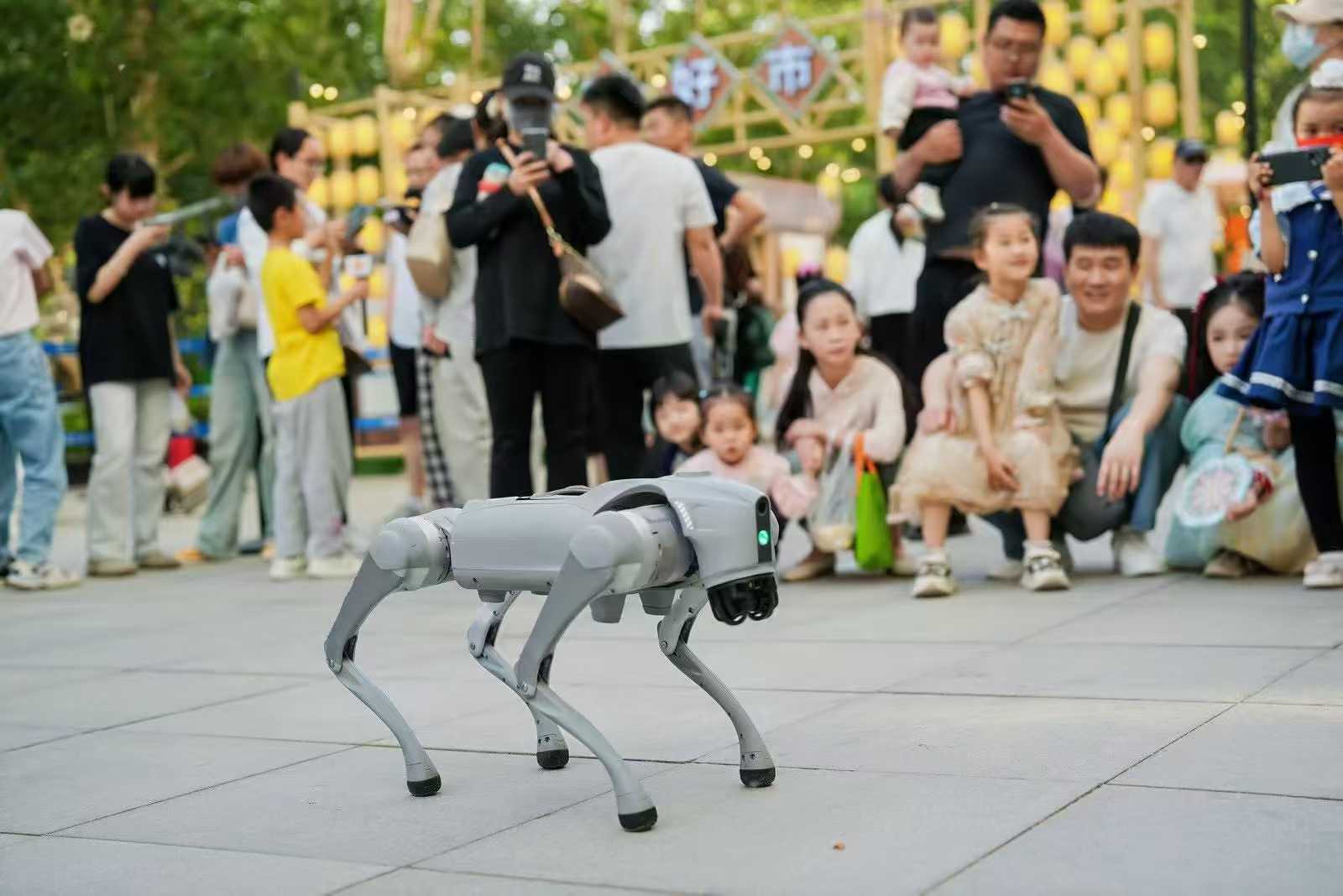 1746440564664640.jpg